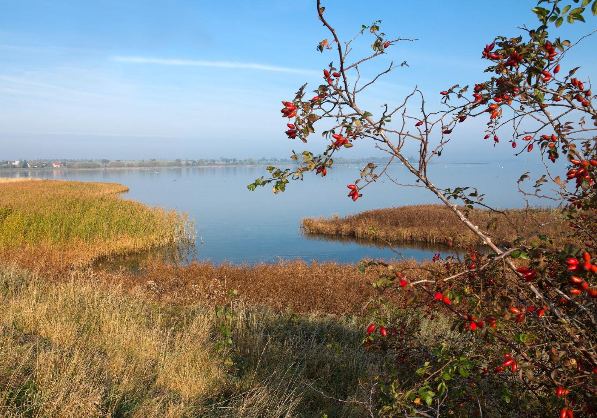 Seerose Insel Poel Kültér fotó