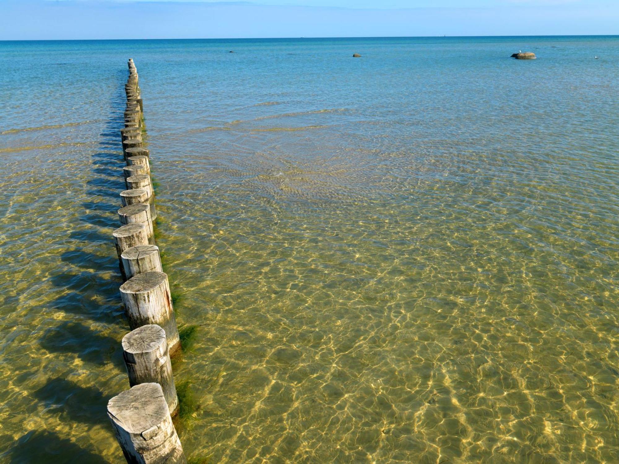 Seerose Insel Poel Kültér fotó