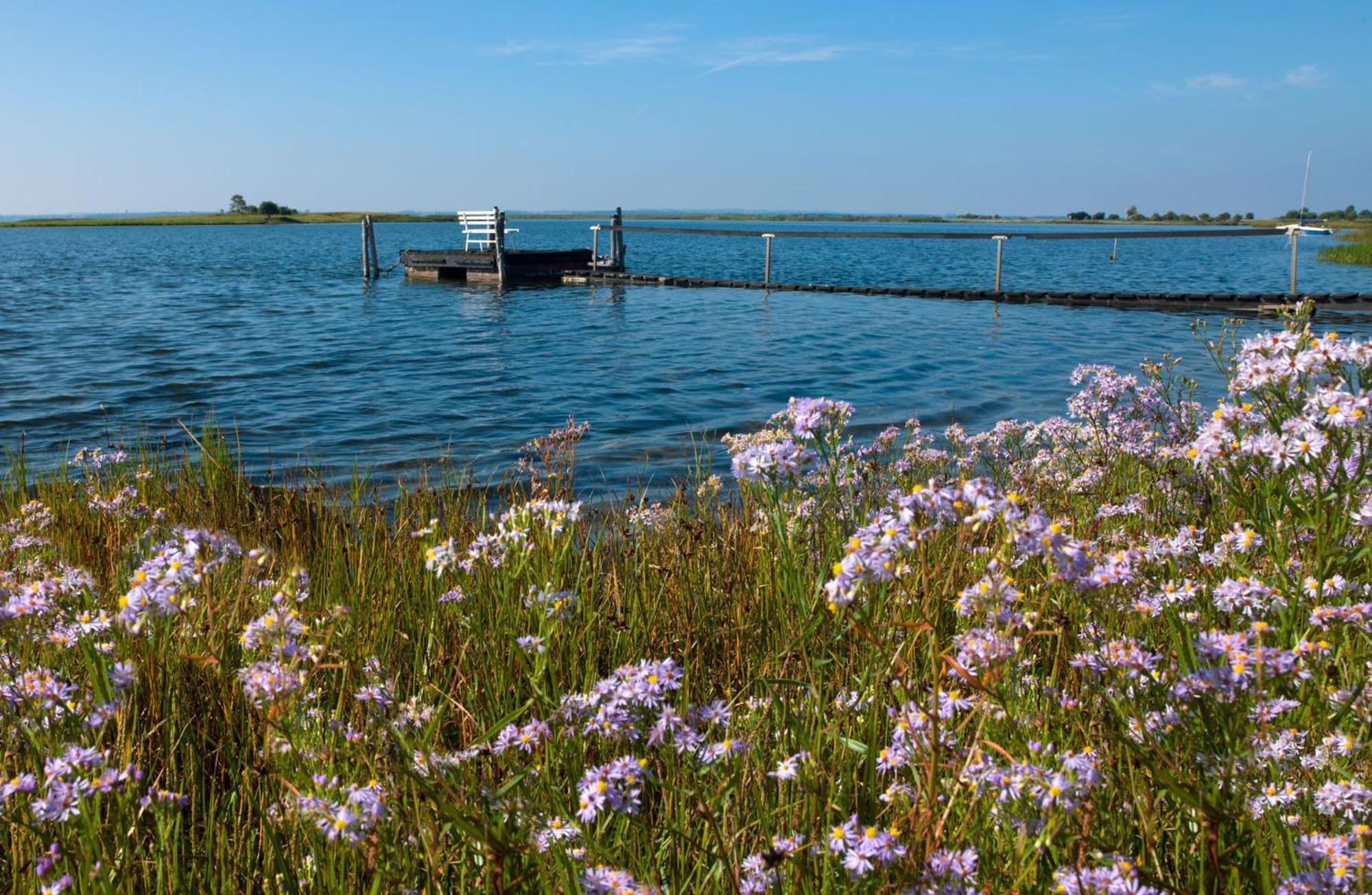 Seerose Insel Poel Kültér fotó